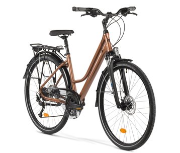 ROWER M-BIKE FREEWAY 9200 COPPER